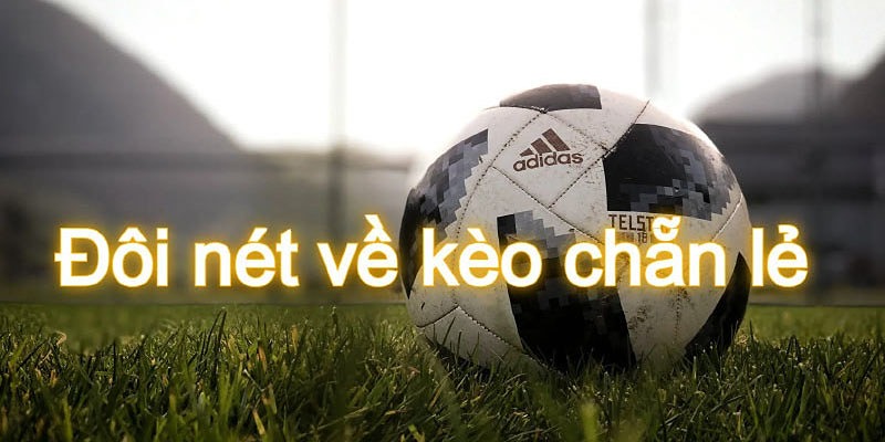 Kèo chẵn lẻ là gì