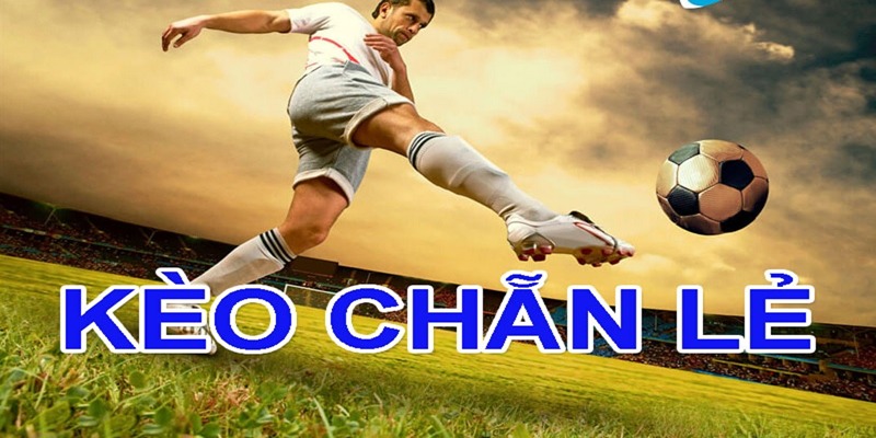 Tổng hợp về các loại kèo chẵn lẻ phổ biến hiện nay