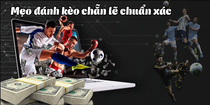 Mẹo đánh kèo chẵn lẻ chuẩn xác từ chuyên gia